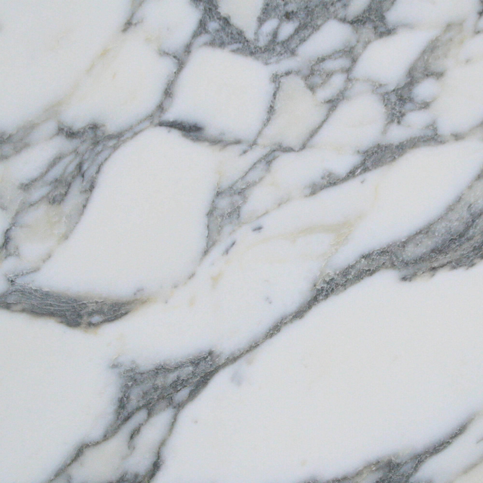 Arabescato Corchia marble