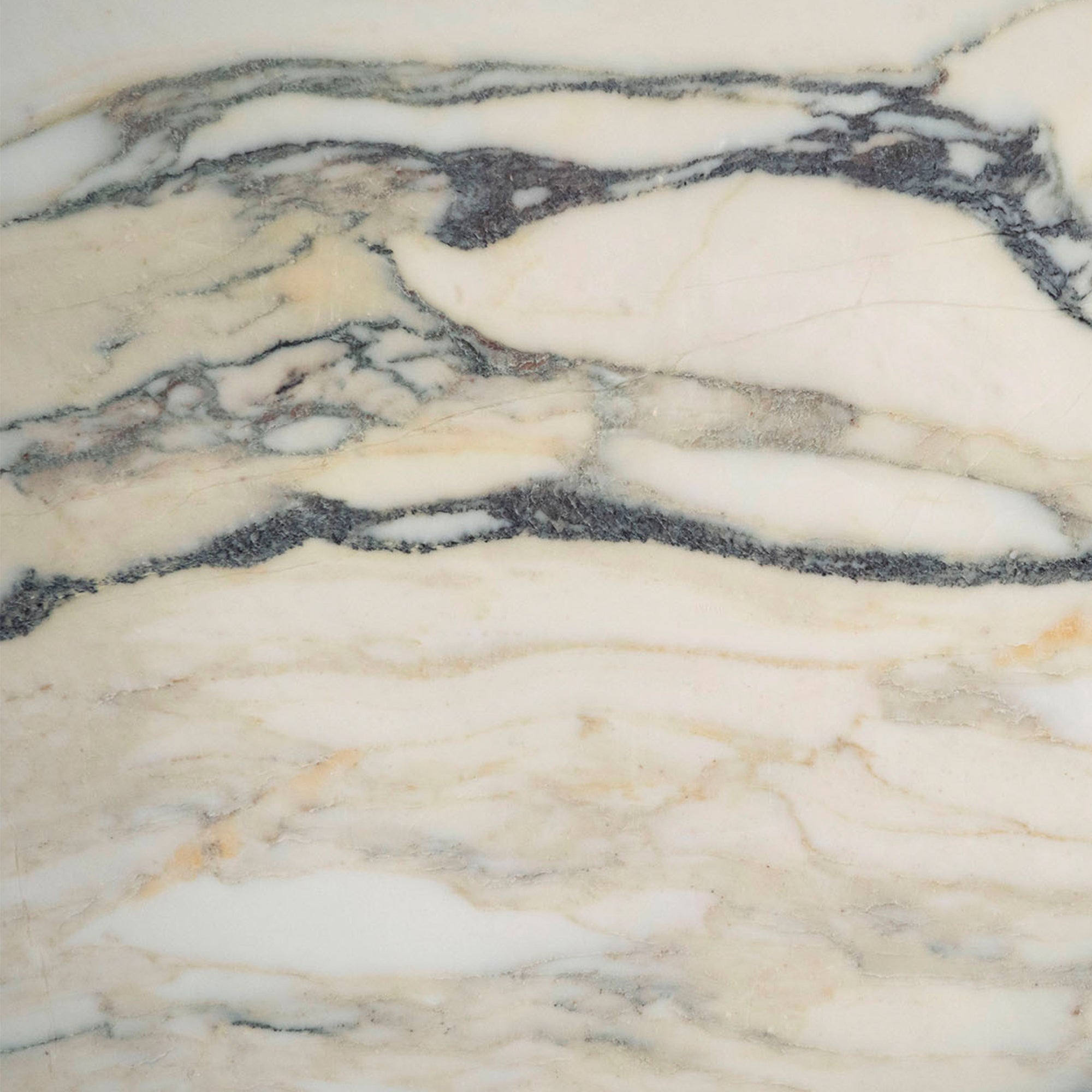 Calacatta Monet marble